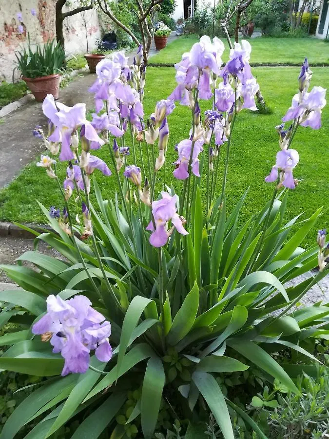 Apartment Giardino Antico Appartamento Italy