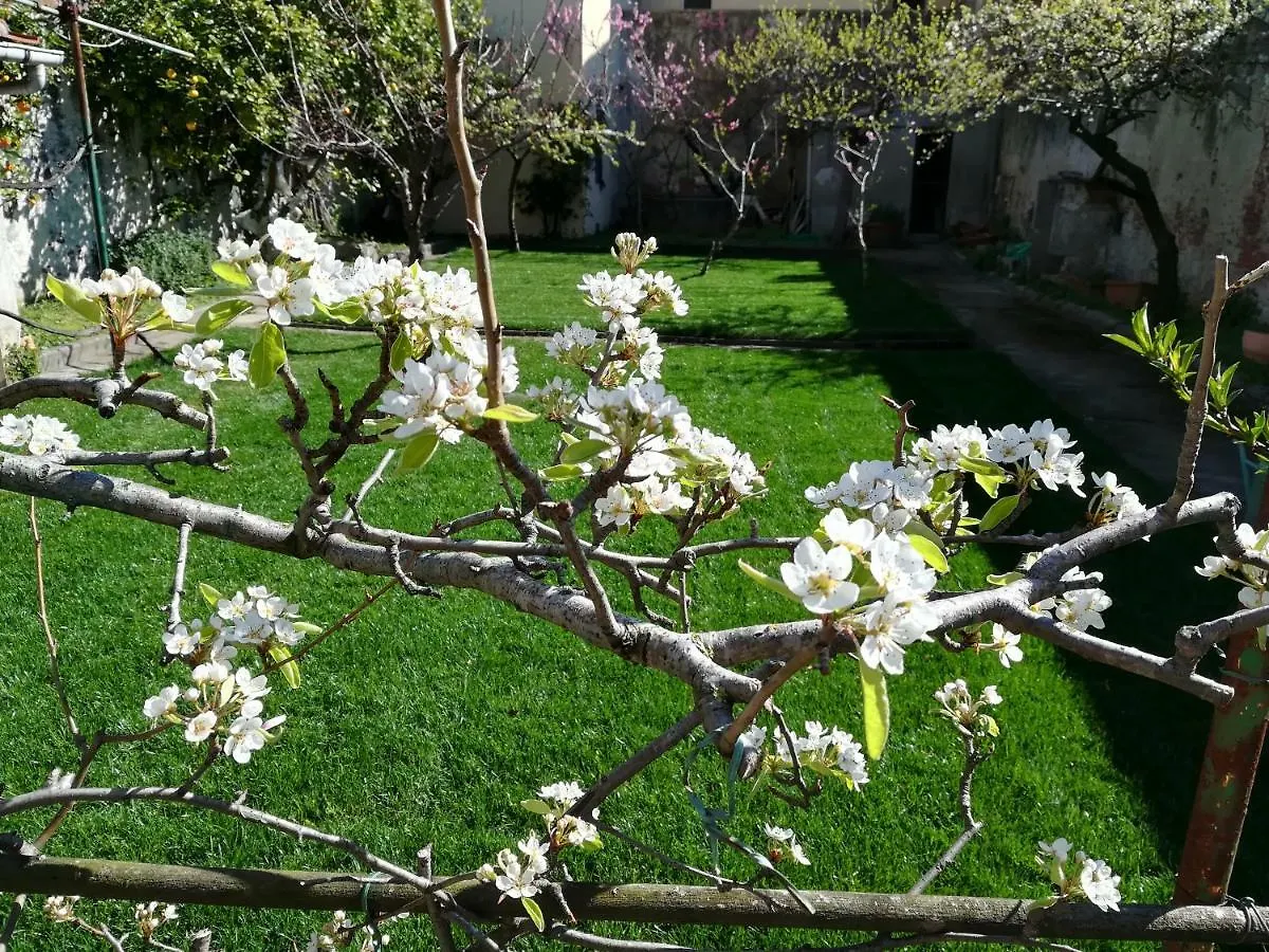 Apartment Giardino Antico Appartamento